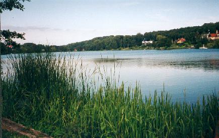 <i>Søllerød Sø</i>